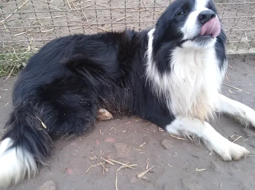 reviewer profile image